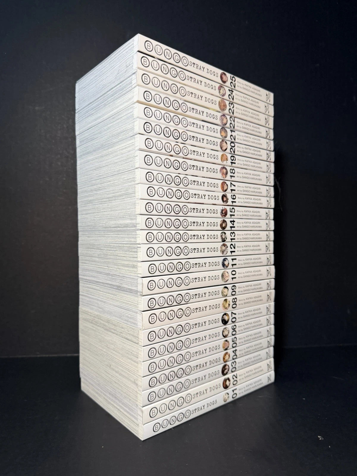 Bungo Stray Dogs Manga Volumes 1-25 Brand New English US Authentic
