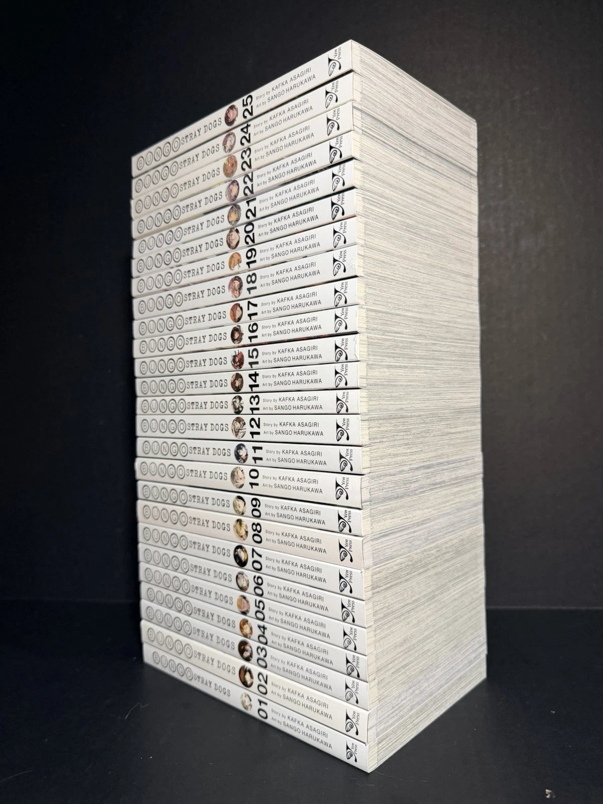 Bungo Stray Dogs Manga Volumes 1-25 Brand New English US Authentic